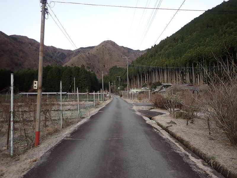 e0284726_1039217.jpg