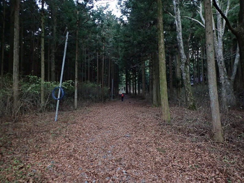 e0284726_10394562.jpg