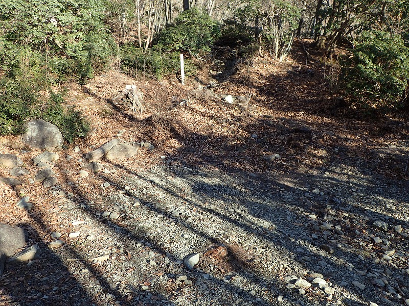 e0284726_1046877.jpg