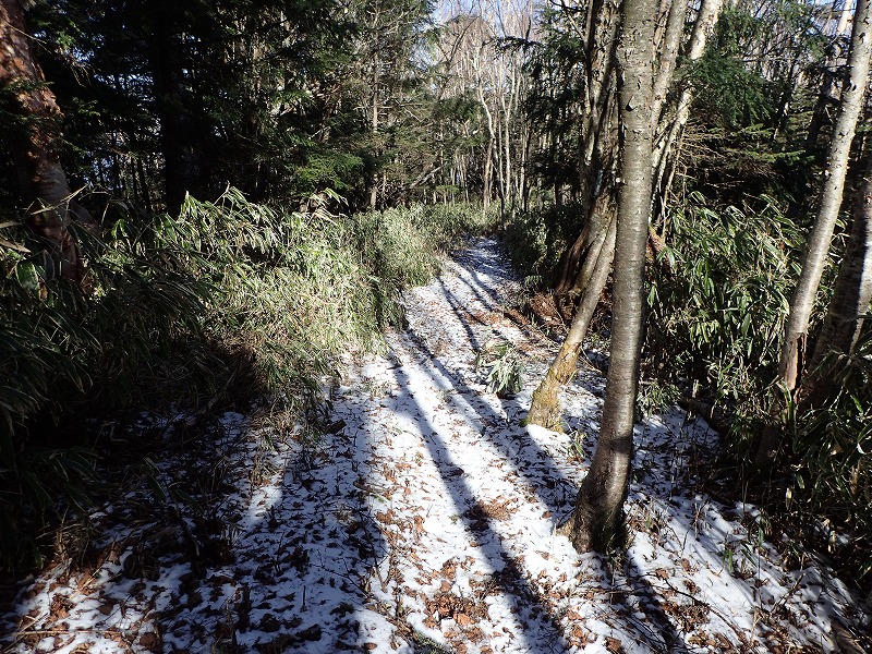 e0284726_11141075.jpg