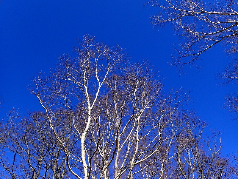 e0284726_11152188.jpg