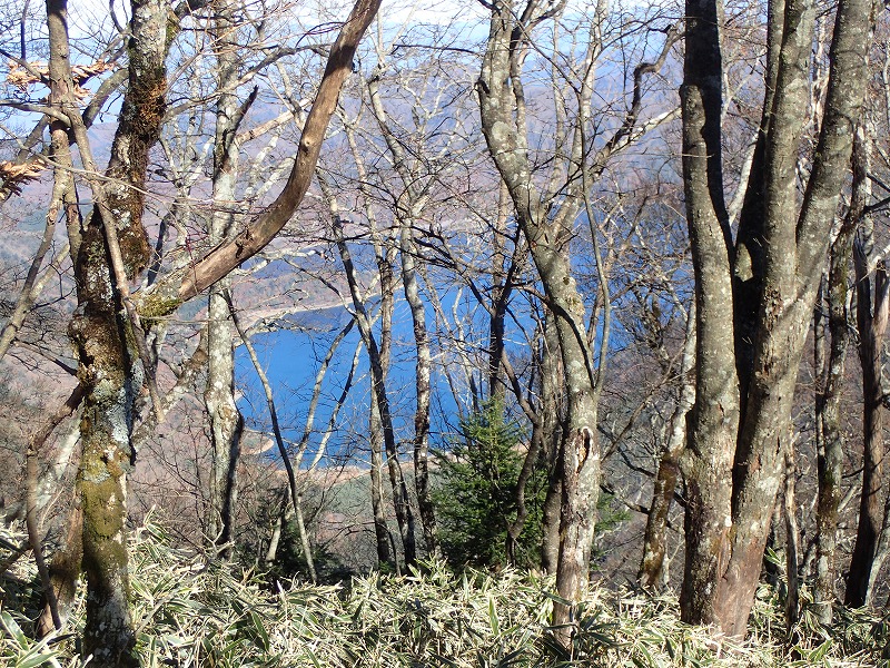 e0284726_11154283.jpg