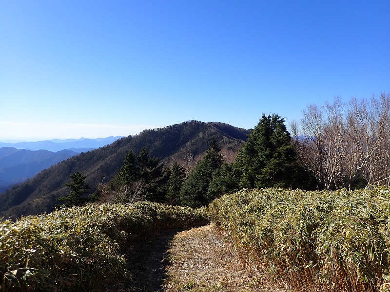 e0284726_1139959.jpg