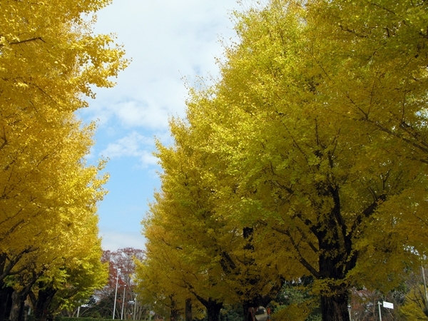 五十鈴川散策 その2_f0129726_18573062.jpg