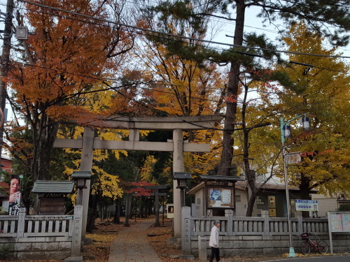 e0016828_10165164.jpg