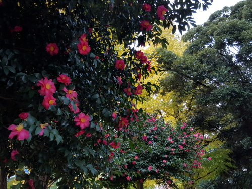 e0016828_10181970.jpg