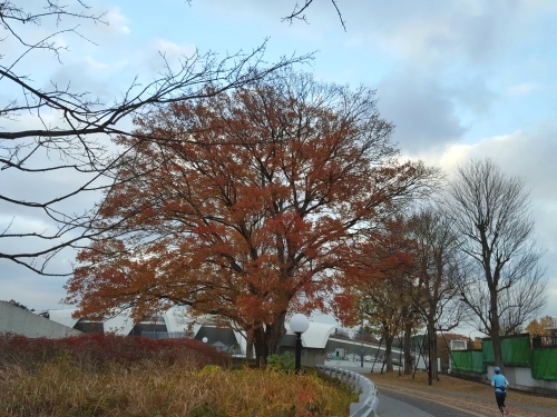 e0016828_10184854.jpg
