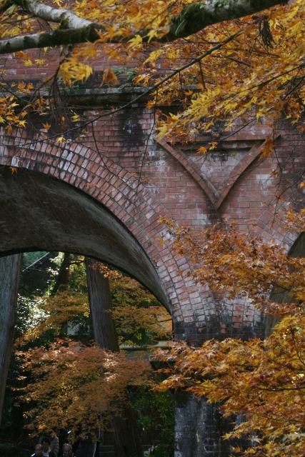 南禅寺の紅葉　11/27_c0107231_22511244.jpg