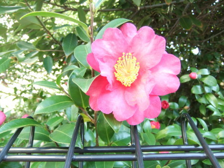 b0137932_13594792.jpg