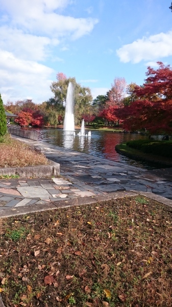 b0164132_18464404.jpg