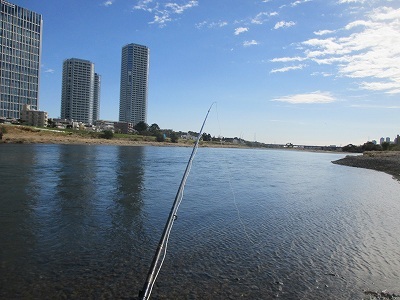 f0321433_14162654.jpg