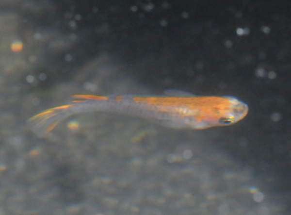 e0097534_17504637.jpg