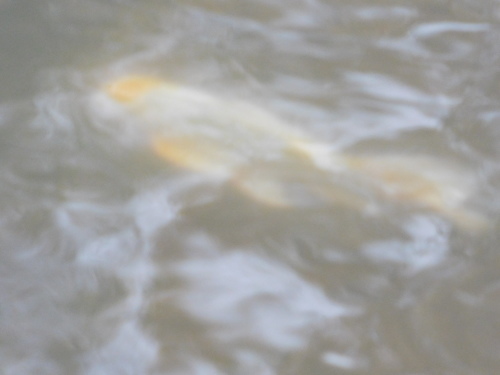 c0338136_15384947.jpg