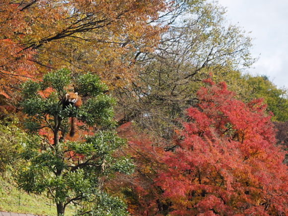 a0149740_05364704.jpg