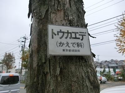 b0120541_20534303.jpg