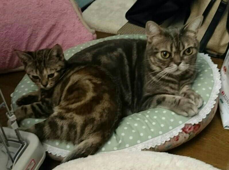 b0054042_21445720.jpeg