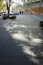 e0080345_06462676.jpg