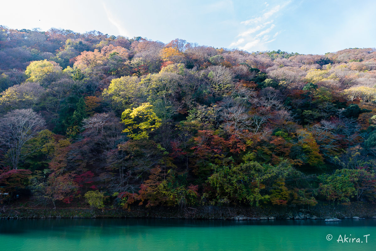 京都の紅葉 2017 〜11〜_f0152550_19275730.jpg