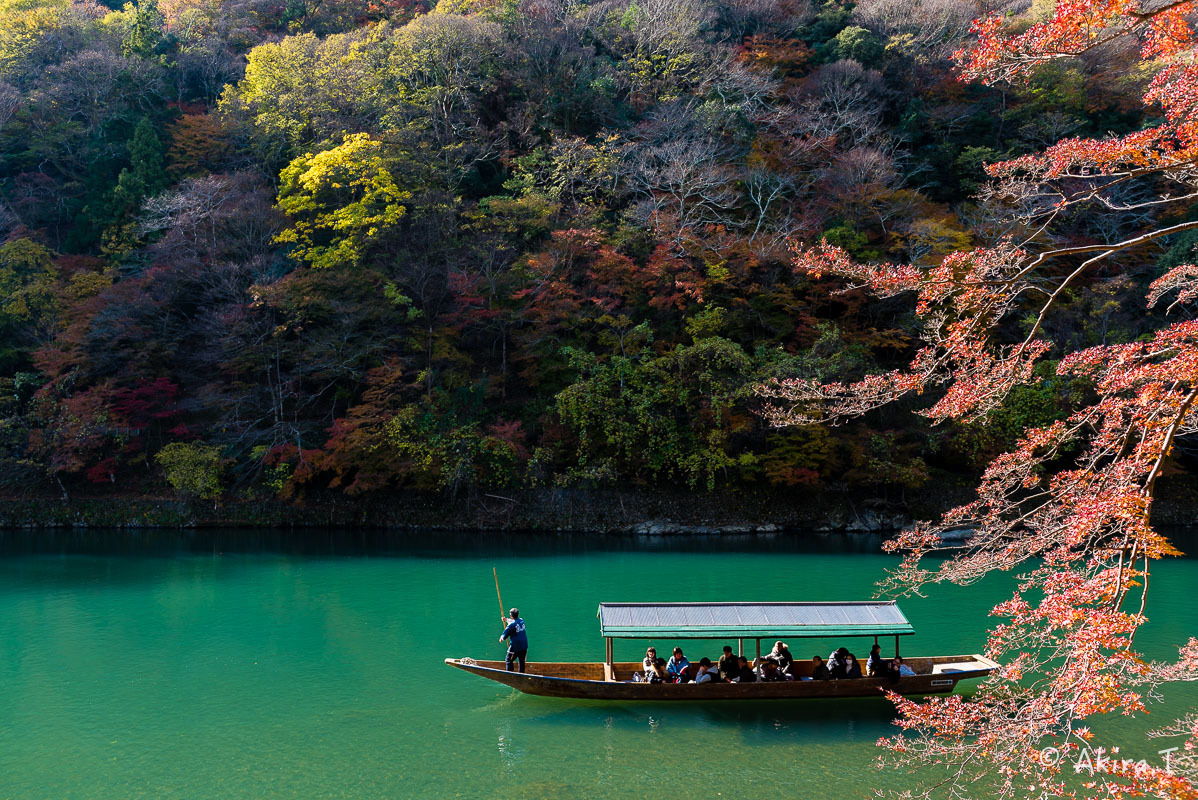 京都の紅葉 2017 〜11〜_f0152550_19280689.jpg