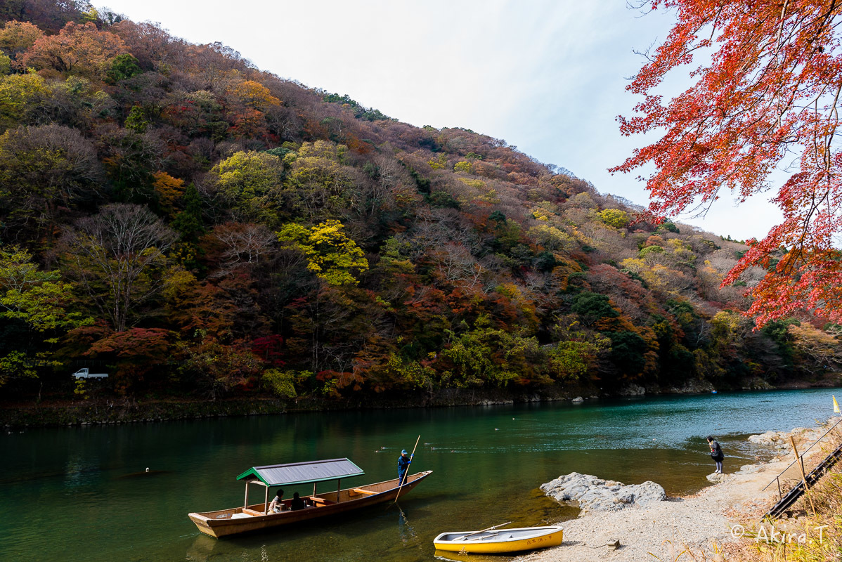 京都の紅葉 2017 〜11〜_f0152550_19281217.jpg