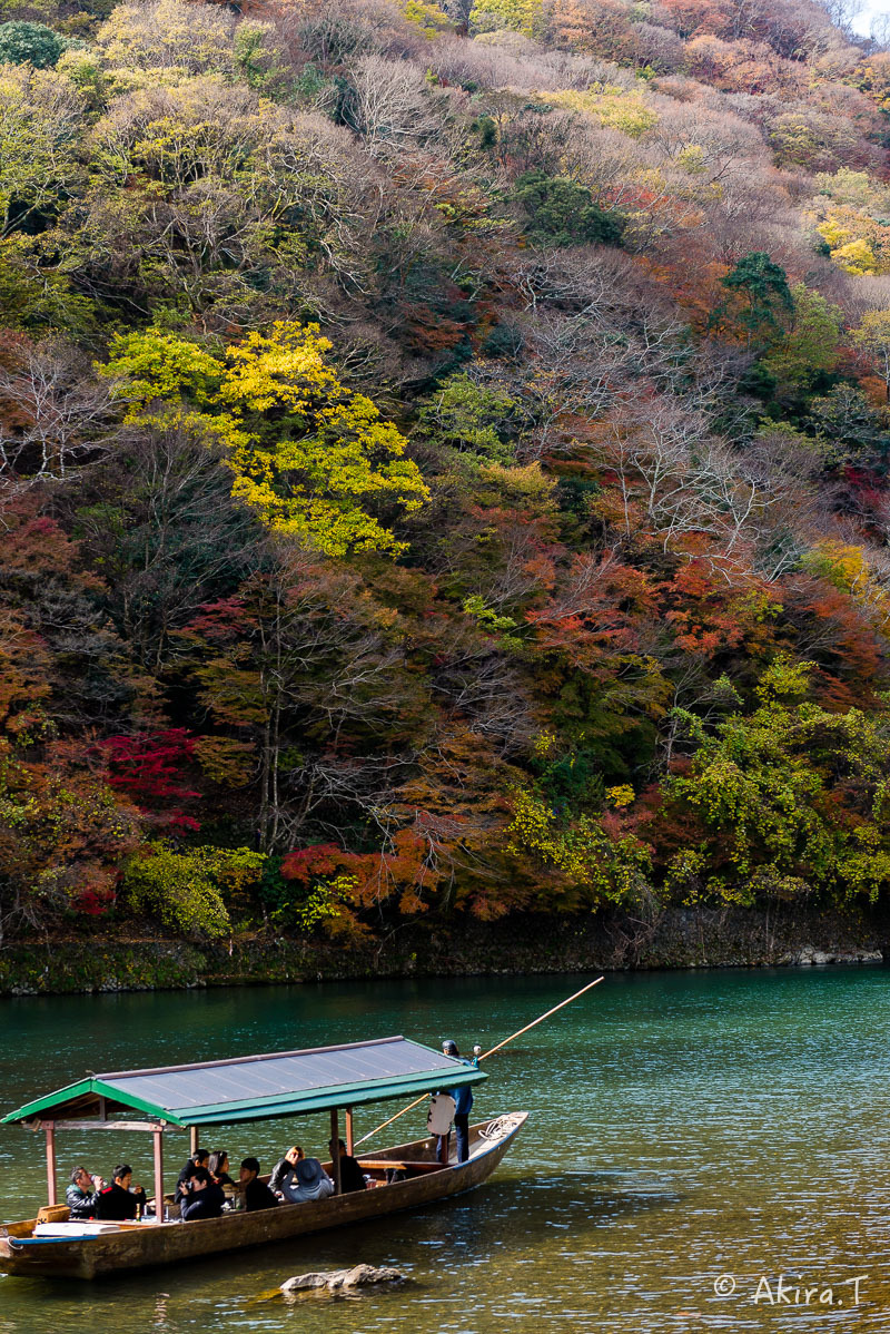 京都の紅葉 2017 〜11〜_f0152550_19282721.jpg