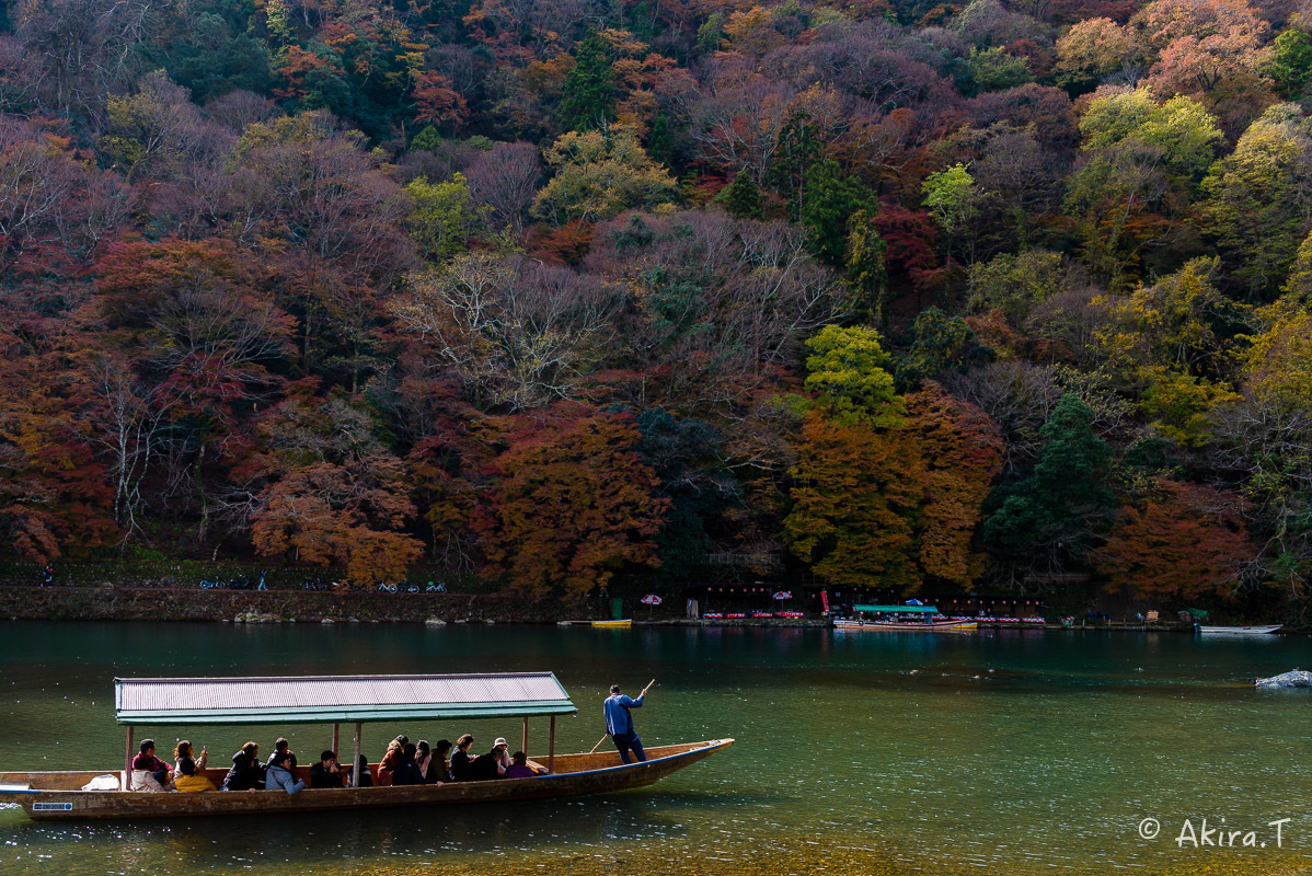 京都の紅葉 2017 〜11〜_f0152550_19285688.jpg