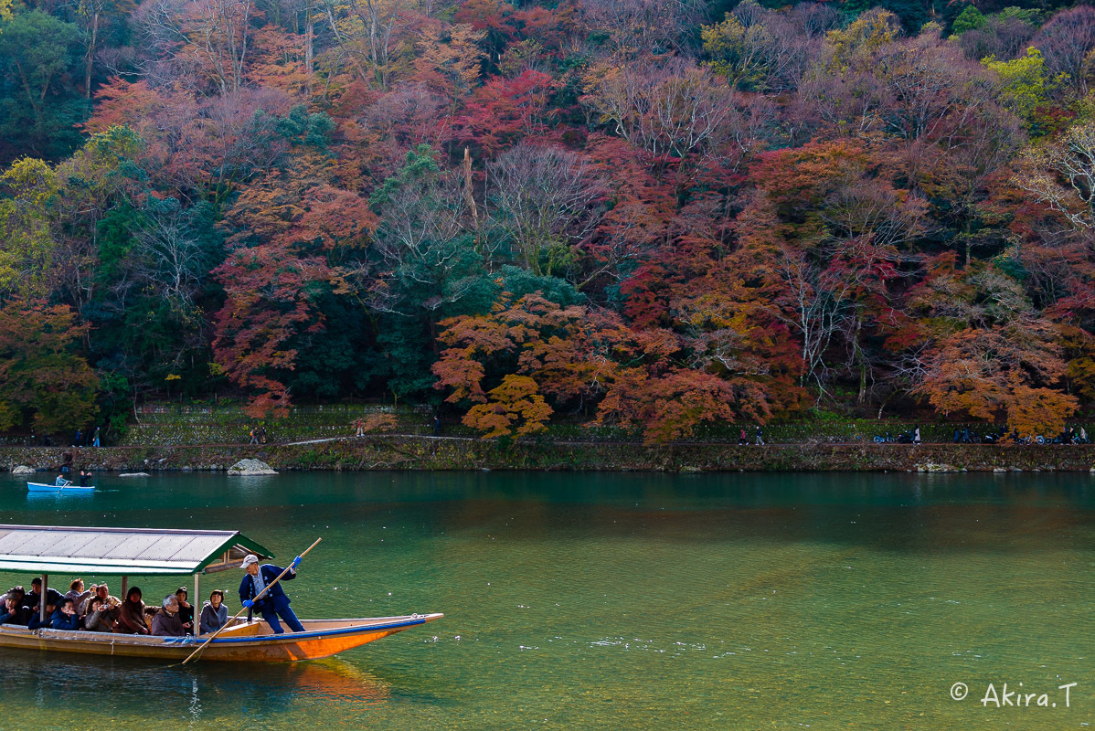 京都の紅葉 2017 〜11〜_f0152550_19290373.jpg