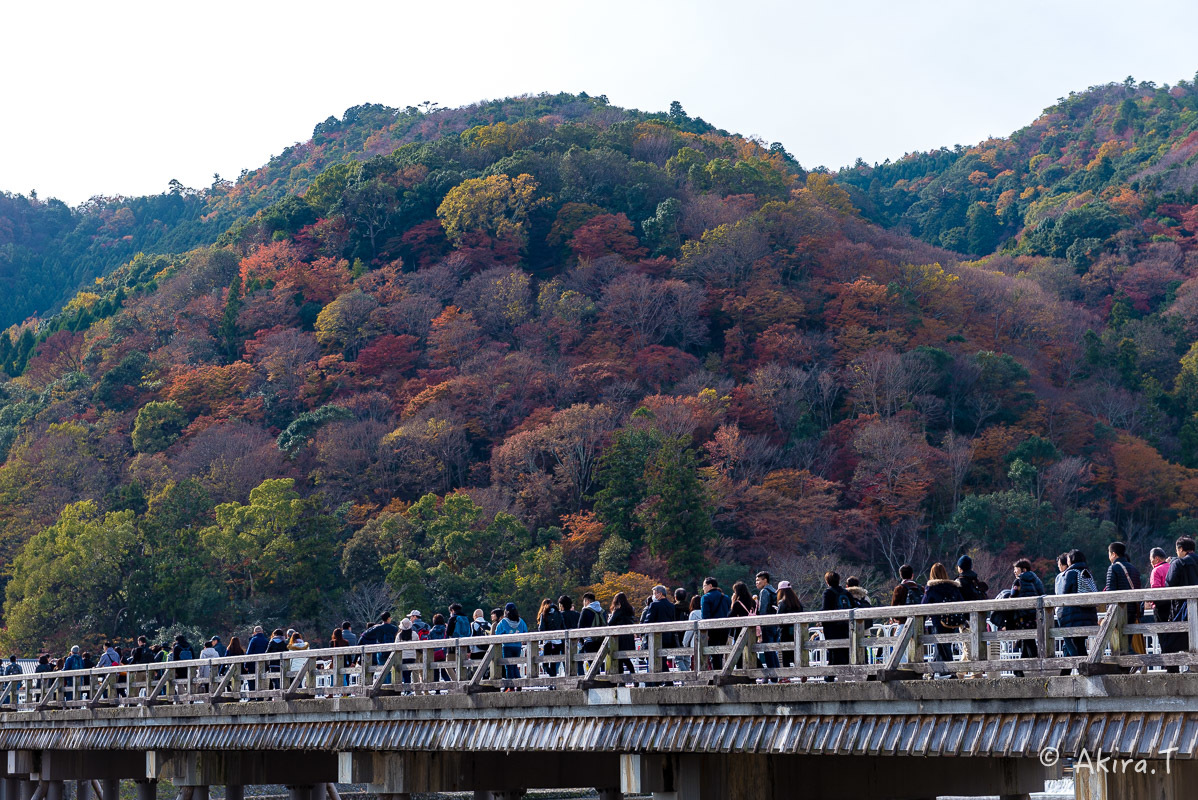 京都の紅葉 2017 〜11〜_f0152550_19305259.jpg