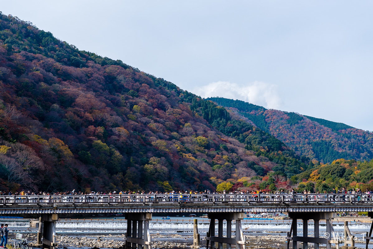 京都の紅葉 2017 〜11〜_f0152550_19320716.jpg