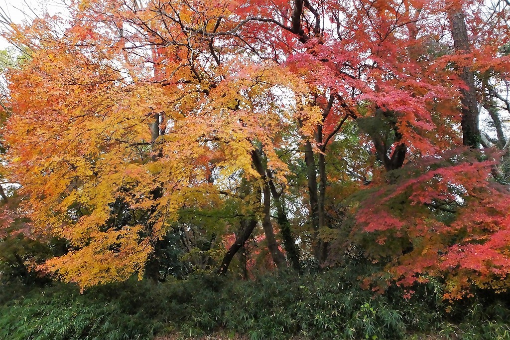 b0236251_11092861.jpg