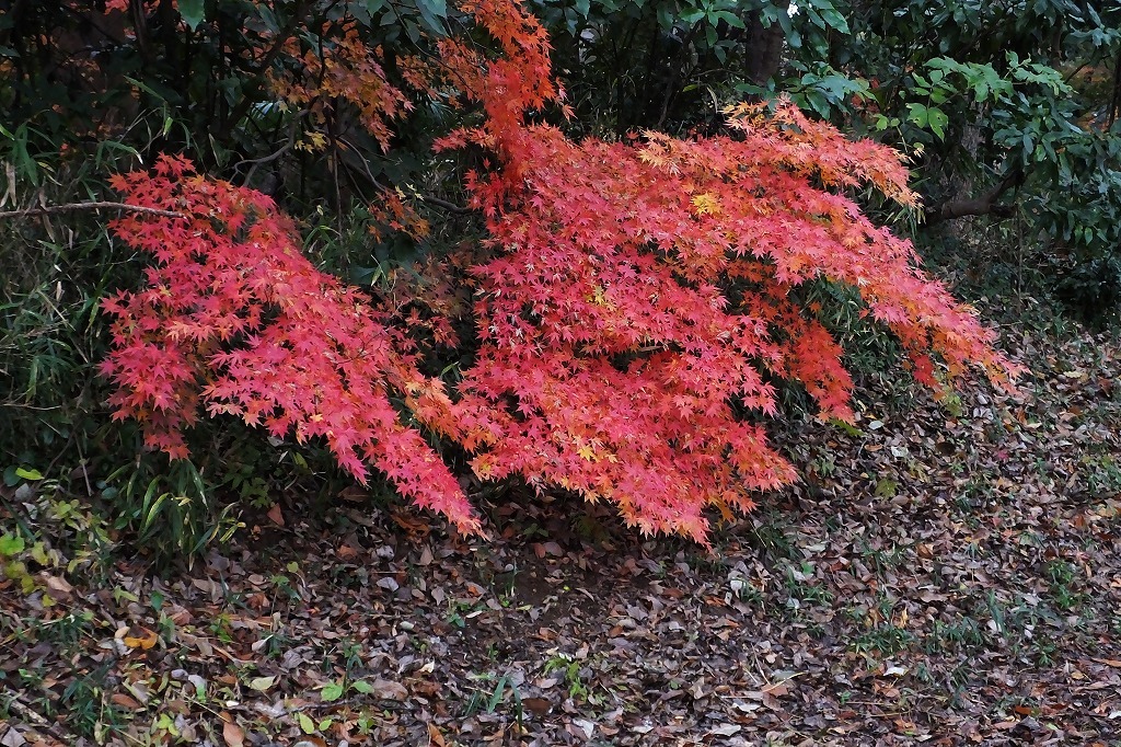 b0236251_11093677.jpg