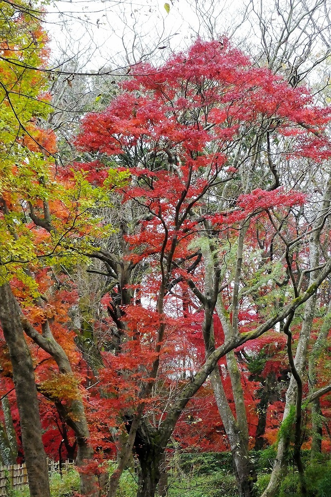 b0236251_11112680.jpg