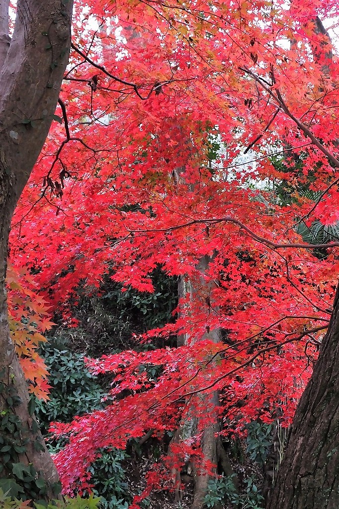 b0236251_11165843.jpg