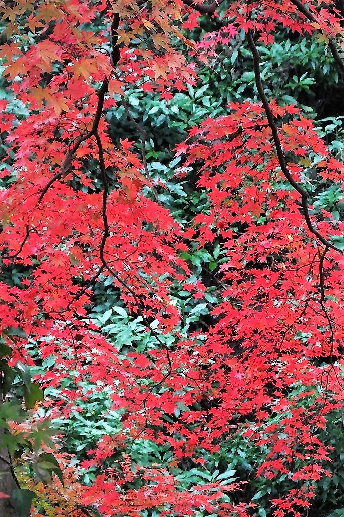 b0236251_11170359.jpg