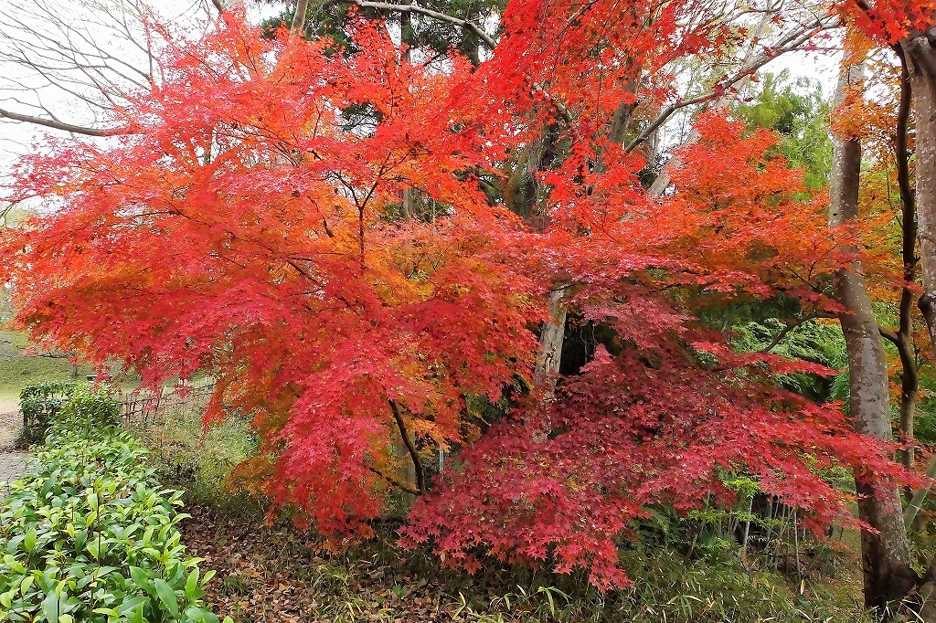 b0236251_11184172.jpg