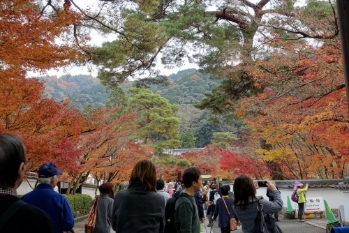 b0228252_00272903.jpeg