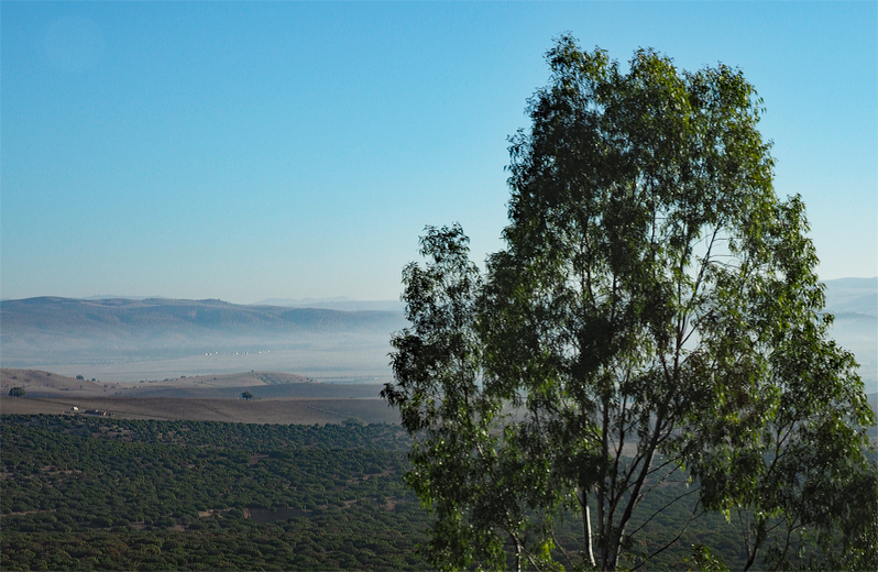 f0140054_08151913.jpg