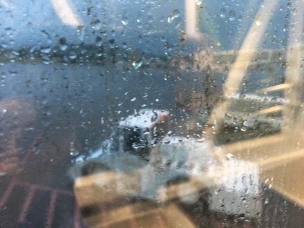 a0346455_20473636.jpeg