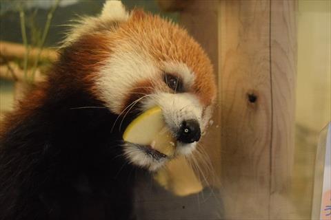 b0338756_21314704.jpg