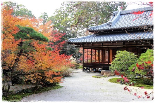 京都へ＜南禅寺と紅葉＞_f0338156_23594491.jpg