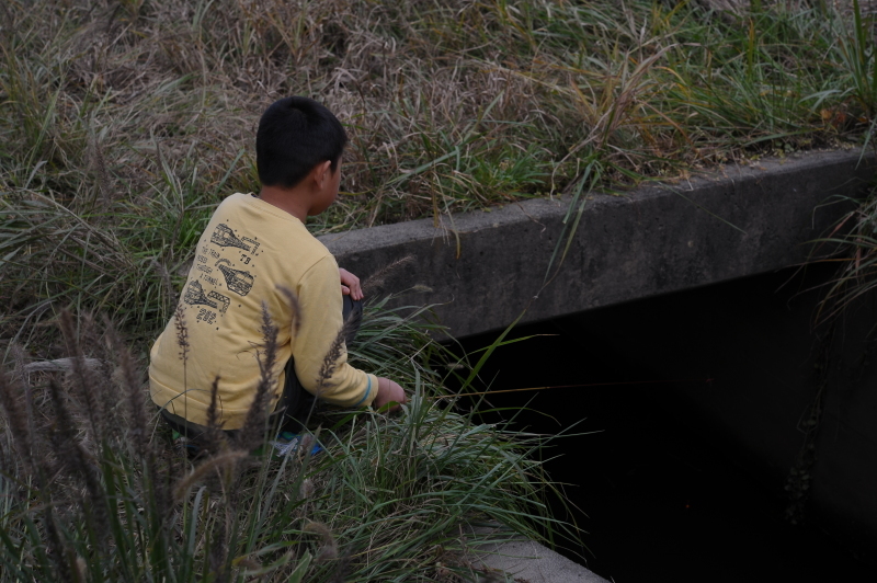 c0157761_12421749.jpg