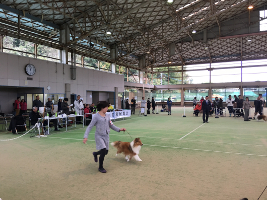 九州 西日本展_f0126965_05104893.jpg