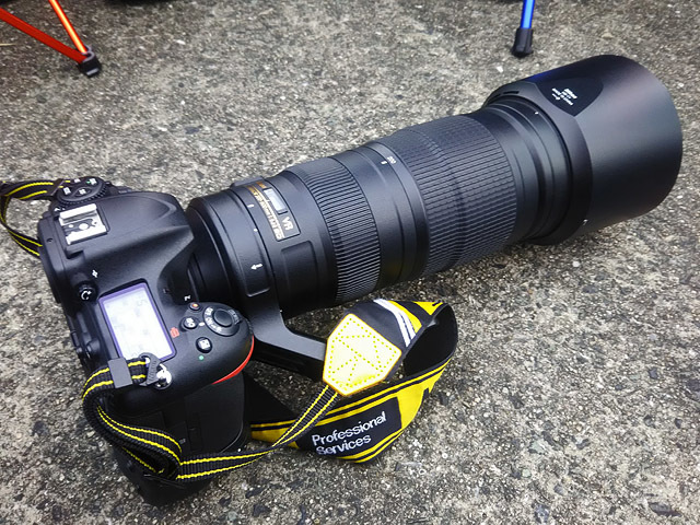Nikon AF-S 200-500/f5.6E VR : TYO.STDのおきらく写真生活 Nikon AF-S 200-500/f5.6E VR : TYO.STDのおきらく写真生活