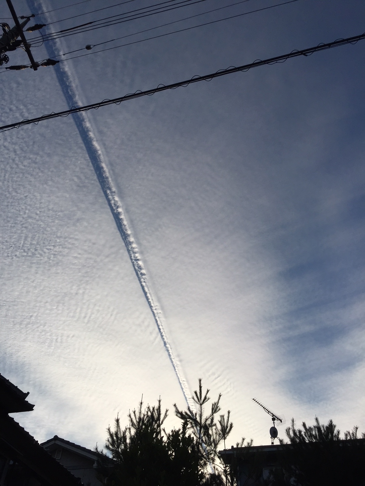 消滅飛行機雲をとらえた！_e0175370_17203529.jpg