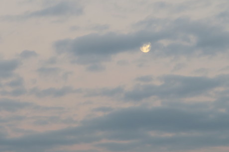 e0292172_19543129.jpg