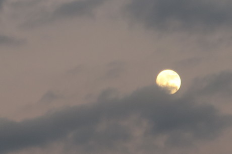e0292172_20090319.jpg