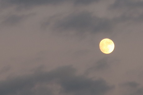 e0292172_20143645.jpg