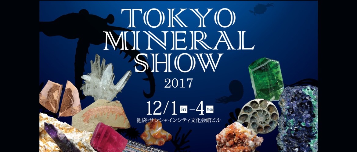 東京ミネラルショー（2017/12/1～12/4）_b0101975_1712378.jpg