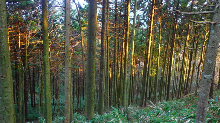 a0242984_07204921.jpg