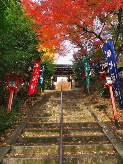 紅葉めぐり2017～松ヶ崎大黒天～(11/26)_d0026589_00283377.jpg